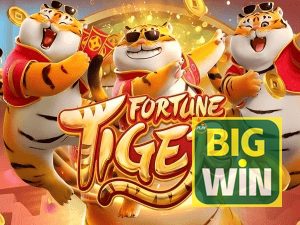 Guia install APK BIGWIN BR