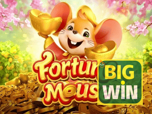 BIGWIN login — configurações de segurança e proteção de conta
